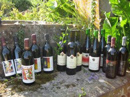 Weingut Seitz-Schreiner