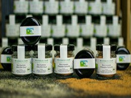 WoMoPark Bio Produkte